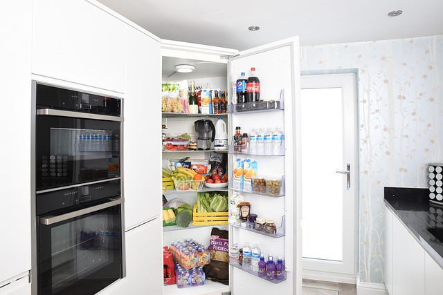 Garden to Fridge: How Charlotte Homeowners Can Prevent Refrigerator Problems When Storing Fresh Produce Garden to Fridge: How Charlotte Homeowners Can Prevent Refrigerator Problems When Storing Fresh Produce